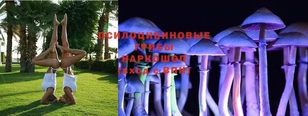шишки Покров