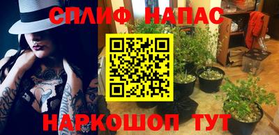 PSILOCYBIN Бугуруслан