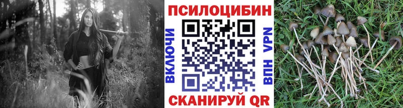 Галлюциногенные грибы мухоморы Тулун