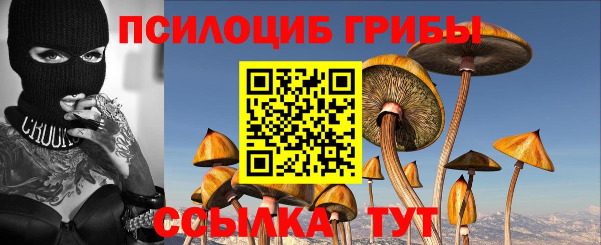 Тулун  Галлюциногенные грибы ЛСД  где можно купить   Вход с VPN 