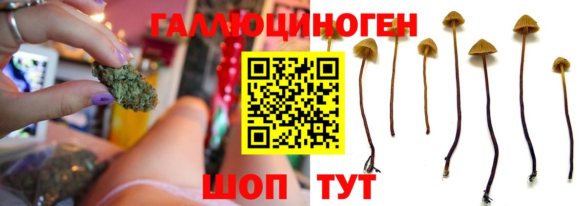 Псилоцибиновые грибы MAGIC MUSHROOMS Тулун