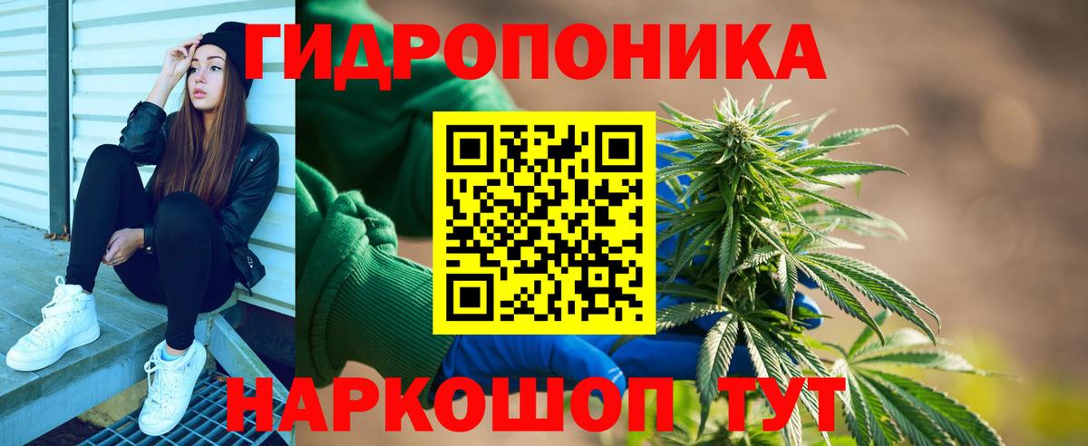 Бошки Шишки MAZAR  Бошки Шишки семена  Тулун  Каннабис план 