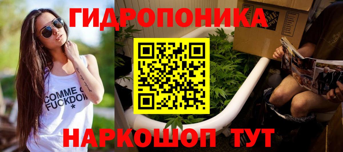 Тулун  Каннабис SATIVA & INDICA  Каннабис план  Вход с VPN 
